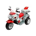3-Wheeler Racer Motorcycle
