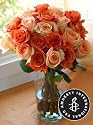 Amnesty International Assorted Roses