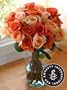 Amnesty International Assorted Roses