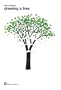 Bruno Munari: Drawing A Tree (About the Workshop Series)