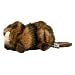 Wildlife Plush Dog Toy - Beaver