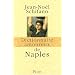 Dictionnaire amoureux de Naples