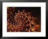 Festoon Emerging ists Framed Art Poster Print by Vicky Brago-Mitchell, 26x22