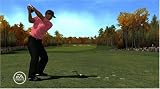Tiger Woods PGA Tour 08