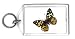 Keychain with insect, butterfly