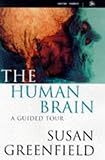 The human brain : a guided tour