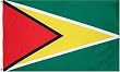 Guyana National Country Flag - 3 foot by 5 foot Polyester (New)