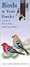 Birds at Your Feeder: A Guide to Winter Birds of the Great Plains (Bur Oak Guide) by Dana Gardner, Nancy Overcott