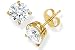 1/4 ct. tw. Round Diamond Solitaire, Prong Set Stud Earrings in 14 Karat Yellow Gold ( GH/ SI-SI2)