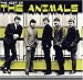  : Most of the Animals