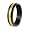 Black and Gold Plated Polished Titanium Ring (6.0 mm) - Size 8.0