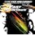 More Music from The Fast and the Furious [Copy Protected CD]