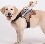 Dog Riders Cowboy Pet Costume