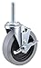 Albion NSF-Listed Sanitary Threaded Stem Caster 32J984-1 Each