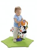  Fisher-Price Baby Gymtastics Bounce & Spin Zebra