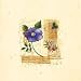 Flower Notes with Blue Poppy - Poster by Audra Chaitram (16x16)