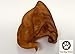 Pig Ears 10 Pack - Made in the USA - Full Large Pig Ears