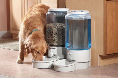 Large Pet Autofeeder & Watering Kit