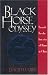 Black Horse Odyssey: Search for the Lost City of Rome in China