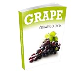 How to Grow Grapes, Your Guide to Starting a Vineyard