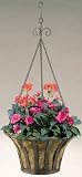 Deer Park Solera Hanging Basket With Coco Liner
