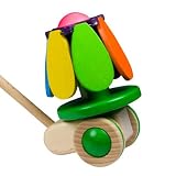 Spinning Flower Push Toy