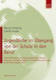 Produkt-Bild: Jugendliche im &Uuml;bergang von der Schule in den Beruf: Expertenbefragung zu Sozialraumorientierung, Netzwerksteuerung und Resilienzaspekten mit Handlungsempfehlungen f&uuml;r die Praxis Sozialer Arbeit