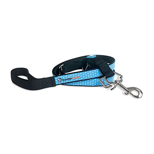ThunderLeash No-Pull Dog Leash, Black, X-Small