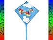 Mini-Eddy Airplane Kite
