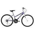 Women's Huffy Blackwater Mountain Bike - Passion Purple (24")