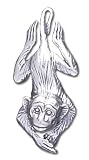 Solid Sterling Silver Monkey Charm