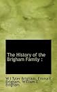 The history of the Brigham family,