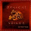 Ancient Voices
