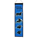 NFL Carolina Panthers Heritage Banner
