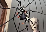 5 Foot Black Spider Web hanging decoration