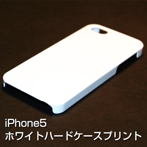 iPhone5S\/5ケース イタリア国旗 ◇ iPhone5S