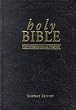 NIV Compact Bible (Bible Niv)