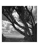 Trails Places Photographic Poster Print by Mike Cavaroc, 16x20