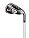 Callaway Golf Men'sBig Bertha Irons Set (Set of 8 Total Clubs: 3-4H, 5-PW, Right Hand, Graphite, Regular Flex)