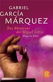 Die Abenteuer des Miguel Littin: Illegal in Chile
