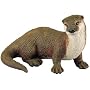 River Otter