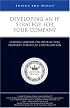 Developing an IP Strategy for Your Company: Leading Lawyers on Intellectual Property Portfolio Capitalization (Inside the Minds)
