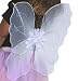 White Fairy Wings