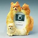 Dog Frame - Pomeranian
