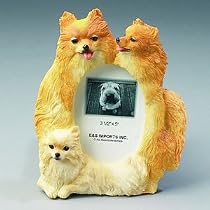 Dog Frame - Pomeranian