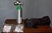 OXYGEN M6 TANK CYLINDER INCLUDES 0-8 LPM REGULATOR, CARRYING BAG & Free Shipping!
