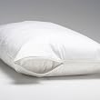 LinenSpa Pillow Protector Zipper Enclosure 100% Waterproof & Dust Mite Protection, QUEEN/STANDARD SET