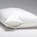 LinenSpa Pillow Protector Zipper Enclosure 100% Waterproof & Dust Mite Protection, QUEEN/STANDARD SET