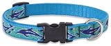 Dolphin Bay - Lupine Adjustable Collars Medium 3/4 in. x 15 in. - 25 in.