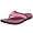 Beach Plum